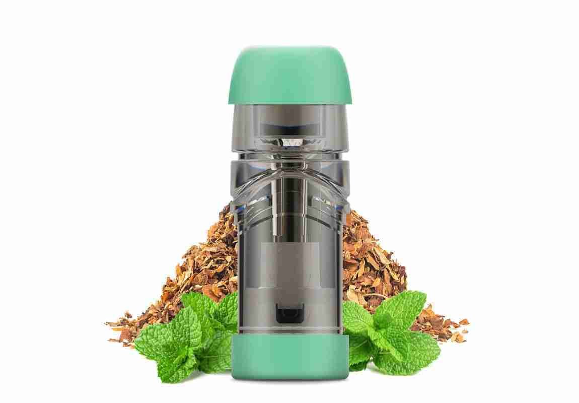 KIWI POD PRECARICATE – Mint Tobacco